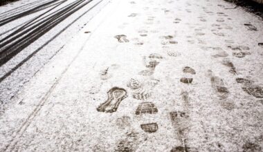 Warming Trend May Arrive In NYC