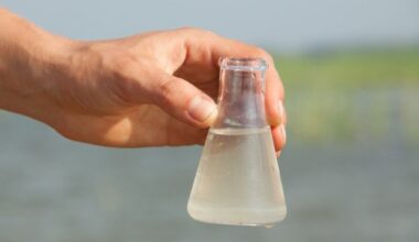 Ocean Water Warning Issued For South Bay Beaches Due To High Bacteria Levels