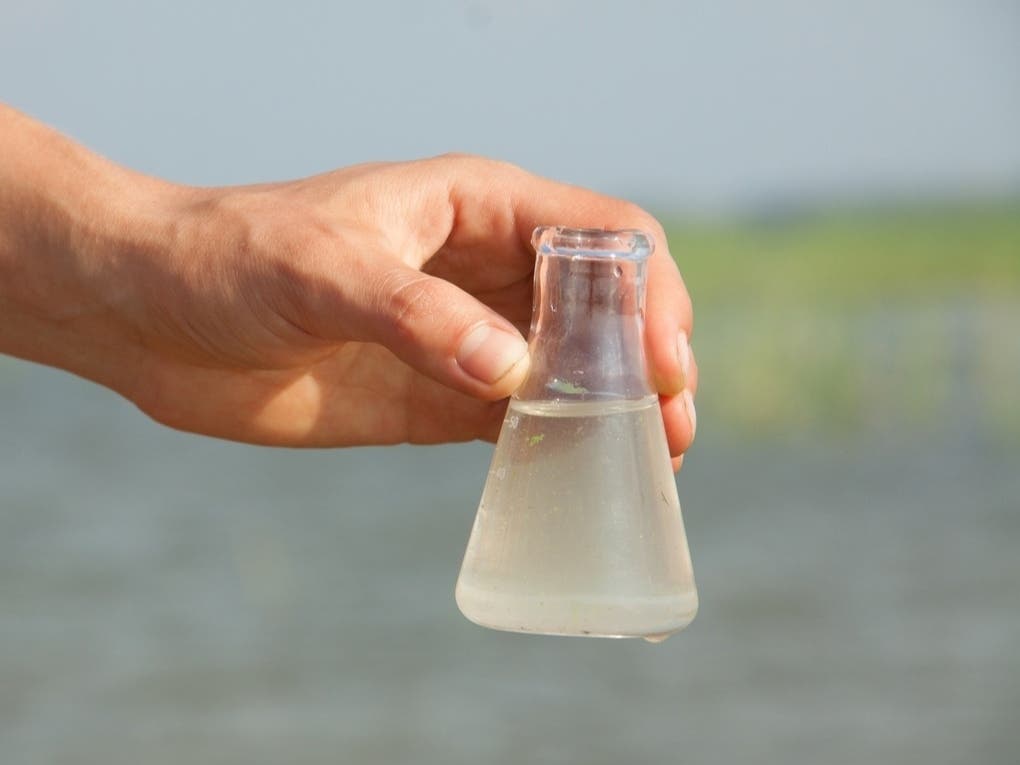 Ocean Water Warning Issued For South Bay Beaches Due To High Bacteria Levels