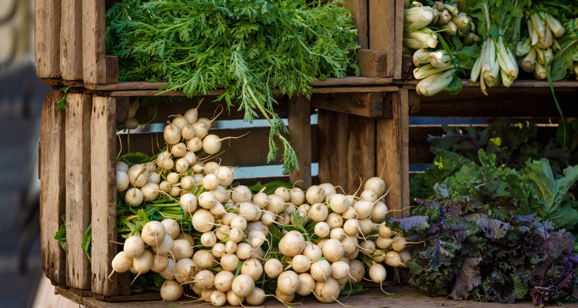 New York State Announces an Additional $200,000 Available for New York Farmer's Markets