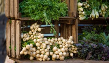 New York State Announces an Additional $200,000 Available for New York Farmer's Markets