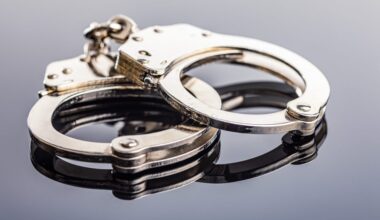 Man stretches girlfriend's cat to death in Queens, severing head from spine