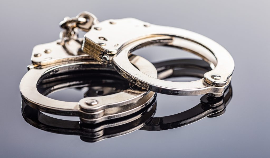 Man stretches girlfriend's cat to death in Queens, severing head from spine
