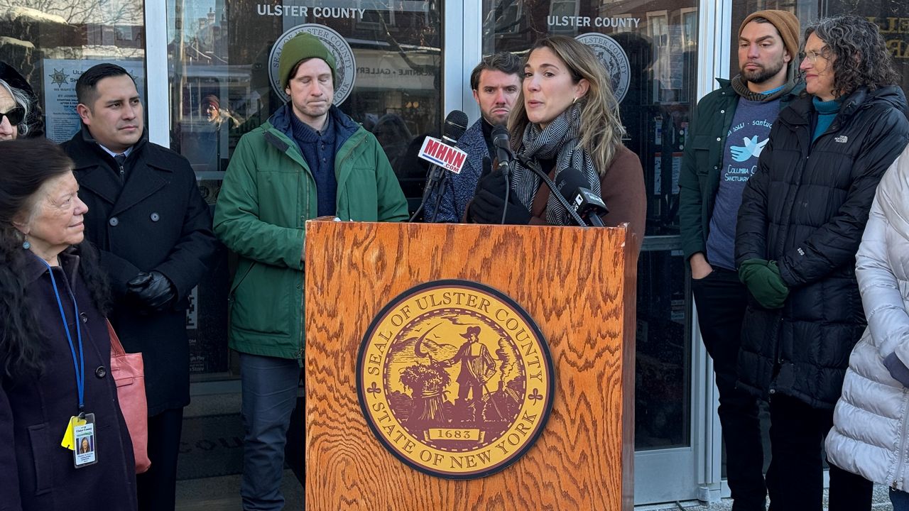 state sen. michelle hinchey at podium