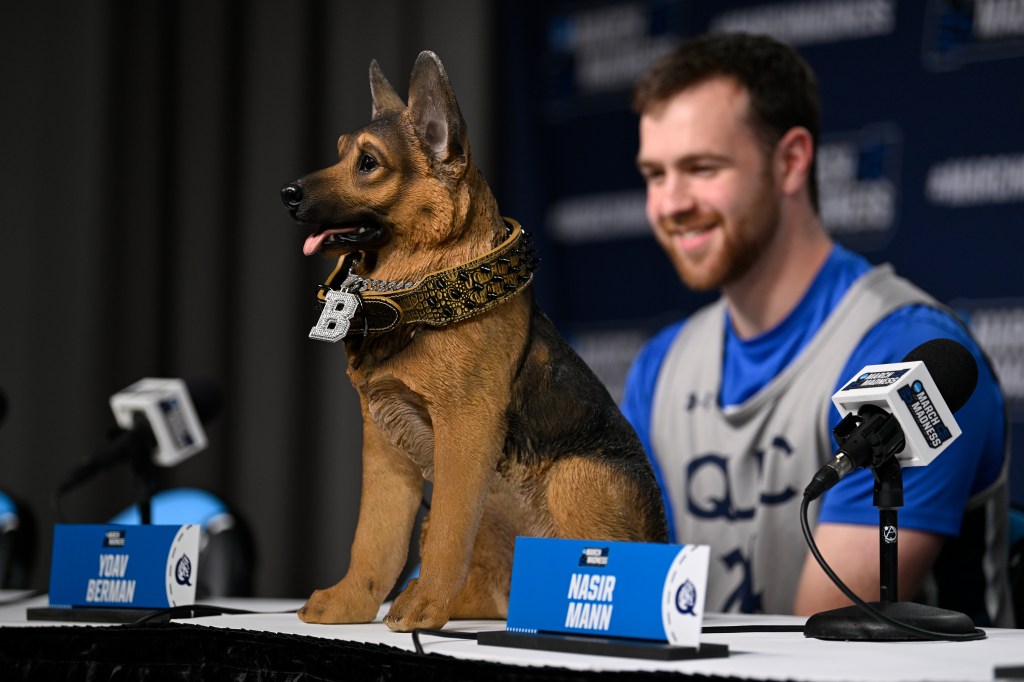 A view of Buddy the Street Dog wearing a spiked collar with a large B medallion as Queens University of Charlotte Royals guard Yoav Berman talks to the media.
