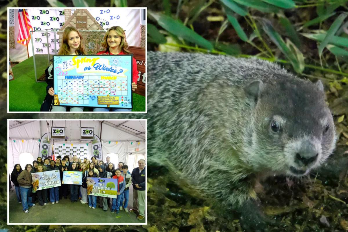 Staten Island Chuck accurately predicted long winter, students confirm