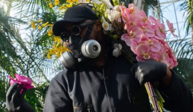 An ode to NYC in orchids, from the mysterious Mr. Flower Fantastic : NPR