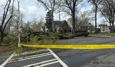 Tree blocks Queens Road West and Wellesley Ave after storm | WFAE 90.7