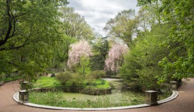 Major Renovation Starts at Brooklyn's Prospect Park