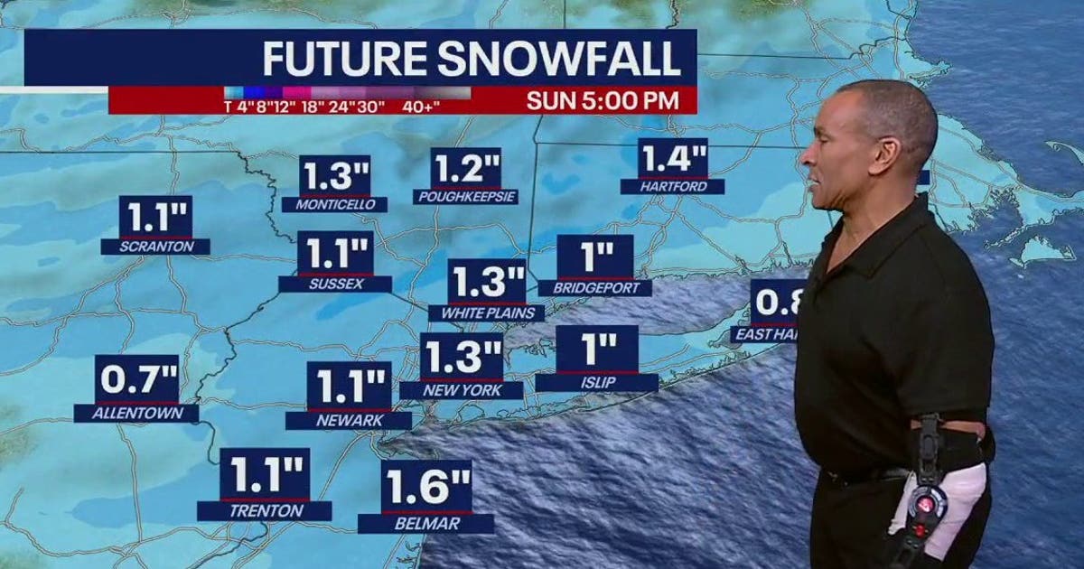 NYC weather forecast: How much snow will fall on Sunday?