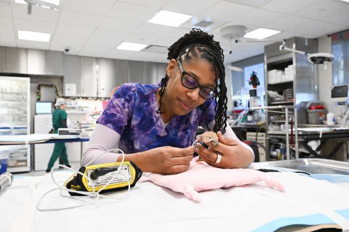 veterinarian treating a reptile in an animal hospital 