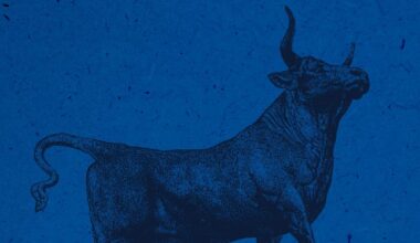 DiNapoli: $246,900 Average Bonus on Wall Street, Up 6% in 2025