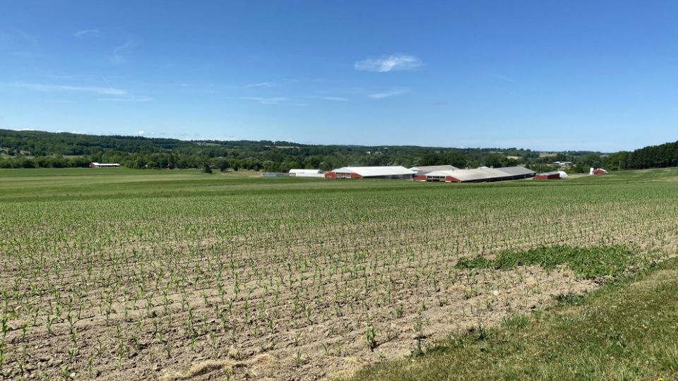 a farm in central new york