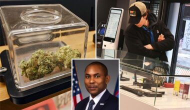 High and dry! NY ramps up pot production to address 'shortage'