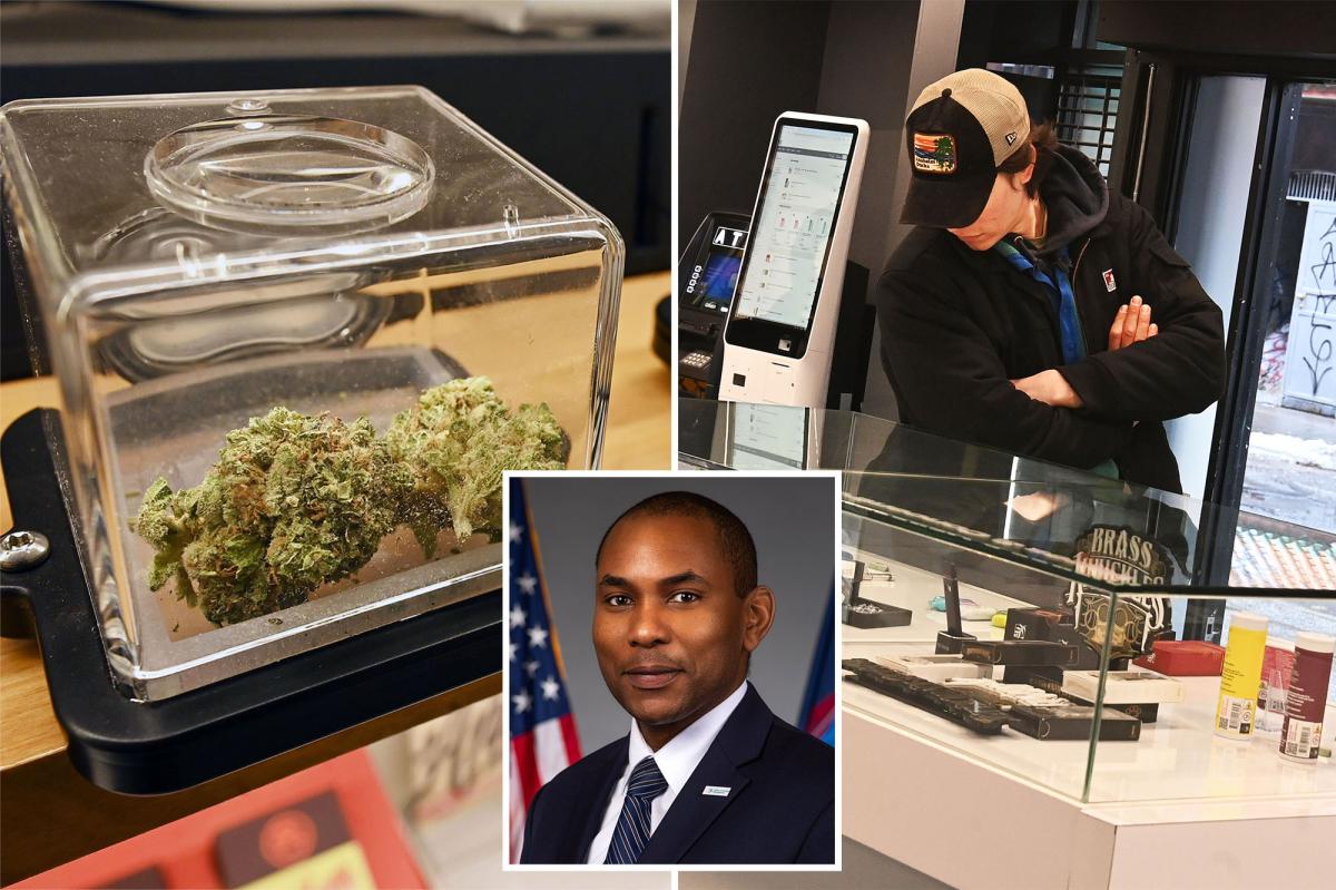 High and dry! NY ramps up pot production to address 'shortage'