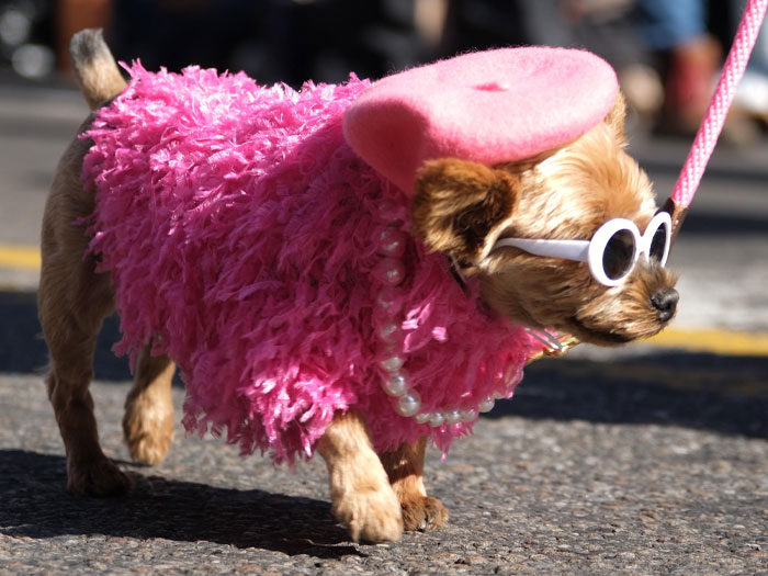 73 Things New Yorkers Are Used To About The City But Outsiders Were Surprised By