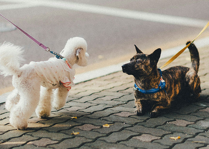 73 Things New Yorkers Are Used To About The City But Outsiders Were Surprised By