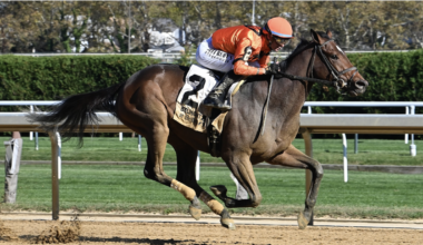 New York-bred With the Angels, Champion Immersive square off in G3 Distaff