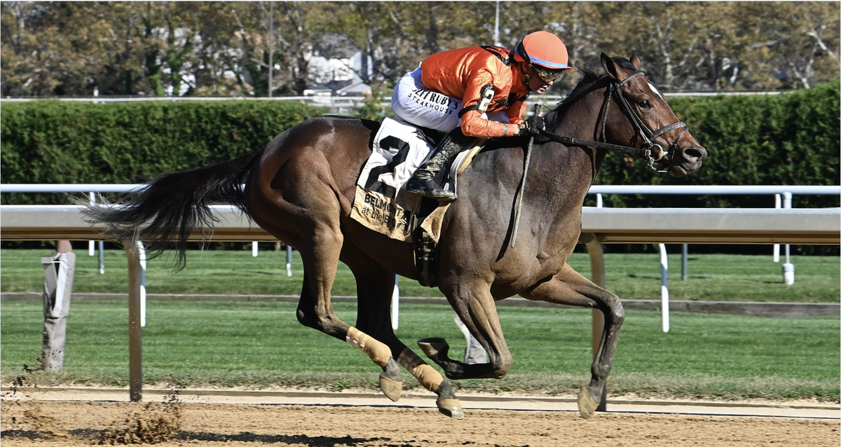 New York-bred With the Angels, Champion Immersive square off in G3 Distaff