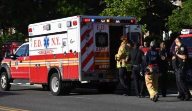 Woman fatally struck by hit-and-run driver on Jamaica Avenue: NYPD – QNS