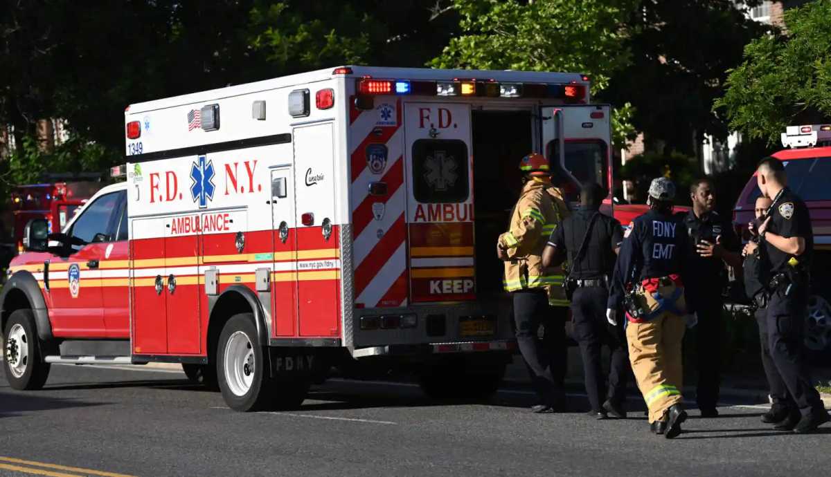 Woman fatally struck by hit-and-run driver on Jamaica Avenue: NYPD – QNS