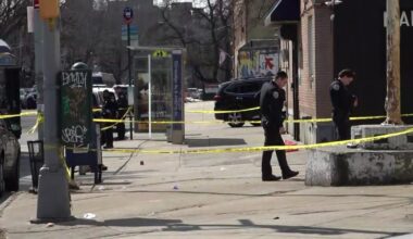 Man shot outside Woodlawn, Bronx subway station, police say