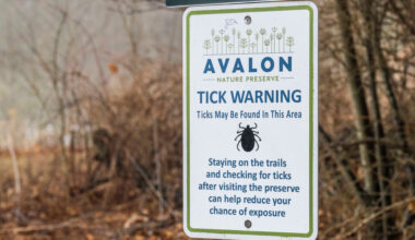 New York Is a Hot Spot for Alpha-Gal. Why Doesn’t the State Track Cases?