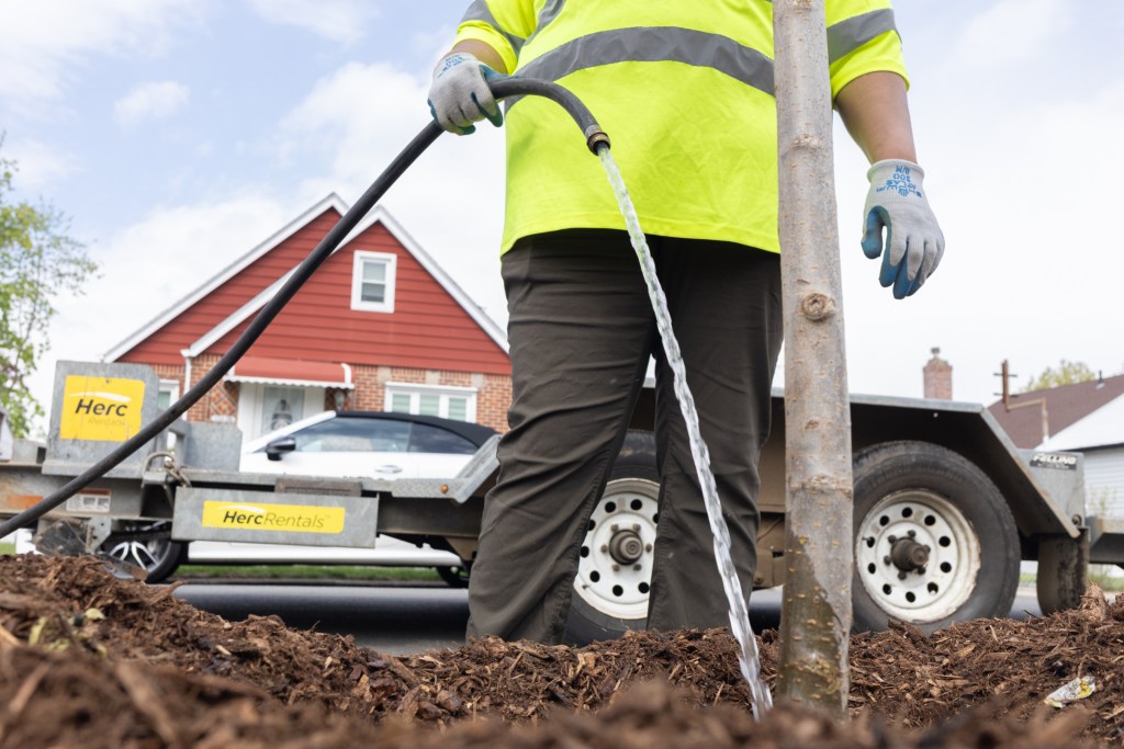 Parks Department workers water newly-planted trees on an eastern Queens residential block