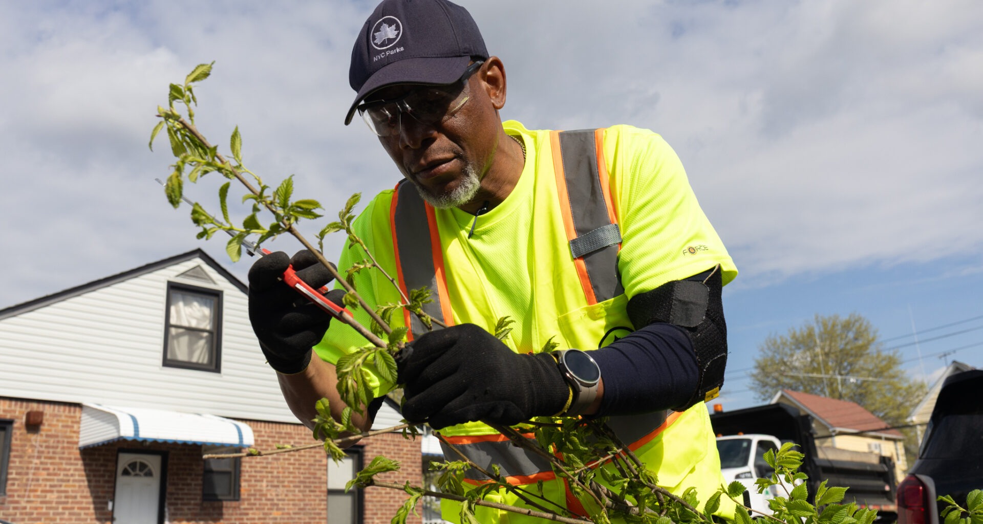 To Fight Heat, NYC Sets 2040 Tree Canopy Deadline, With Riskiest Areas First