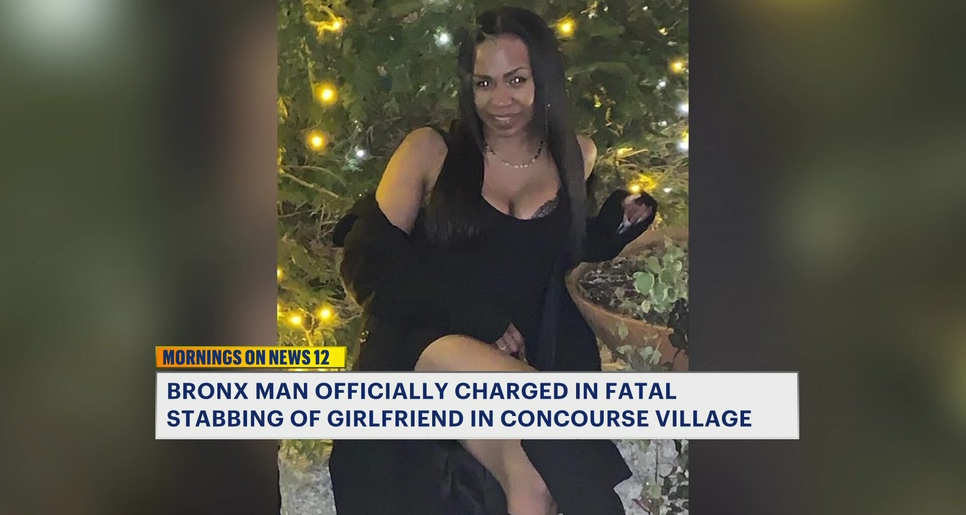 News 12 | Bronx | Bronx Man Charged In Fatal Stabbing Of Girlfriend In Concourse Village