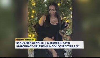 News 12 | Bronx | Bronx Man Charged In Fatal Stabbing Of Girlfriend In Concourse Village