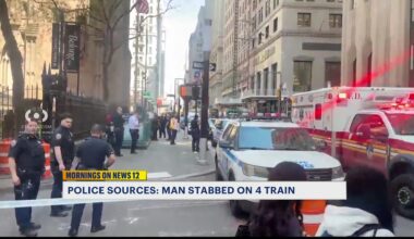 News 12 | Bronx | Attacker On Run After Stabbing Man Aboard Bronx Train