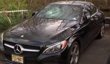 Video shows vandal smash windshields of 19 vehicles in Linden, N.J., but the violence didn't stop there