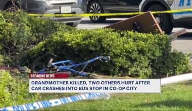 News 12 | Bronx | Grandmother Killed Two Injured After Car Slams Into Bronx Bus Stop Bench