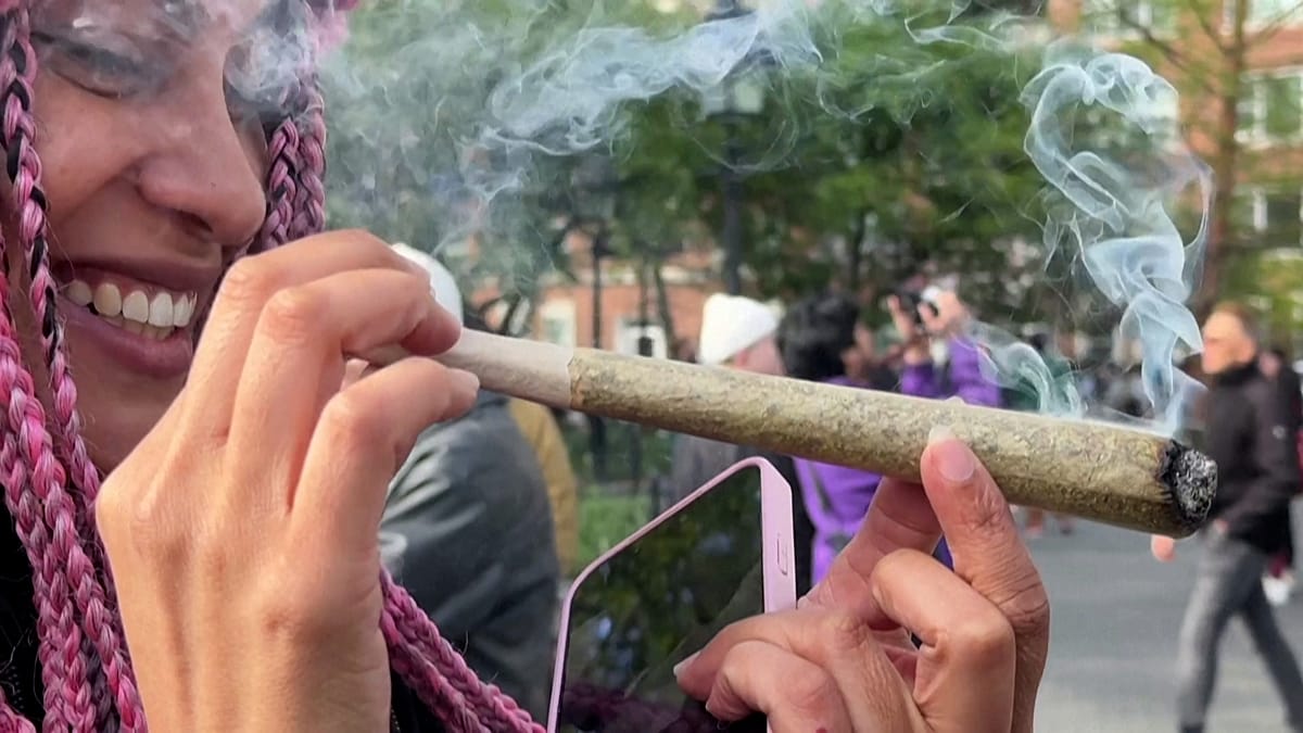 Video. Marijuana smokers celebrate 420 in New York