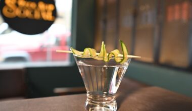 Party-Hardy for a Cause at Peck Slip Social