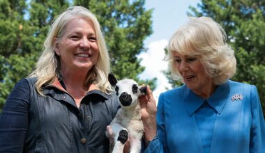 Queen Camilla and King Charles Meet a Lamb Called “Upperville Charles” at Virginia Block Party