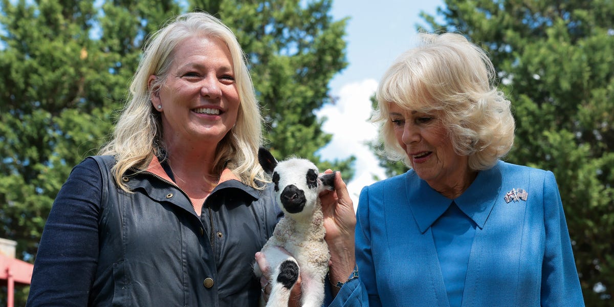 Queen Camilla and King Charles Meet a Lamb Called “Upperville Charles” at Virginia Block Party