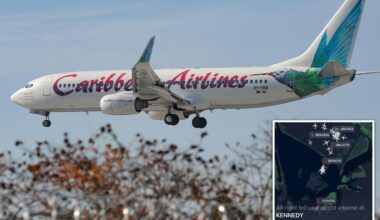 Caribbean Airlines passenger gives birth aboard NY-bound flight — as airport officials suggest crafty name for newborn