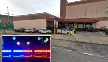 NYC Parks worker rear-ended strangers who tried to steal mirrors off car: cops