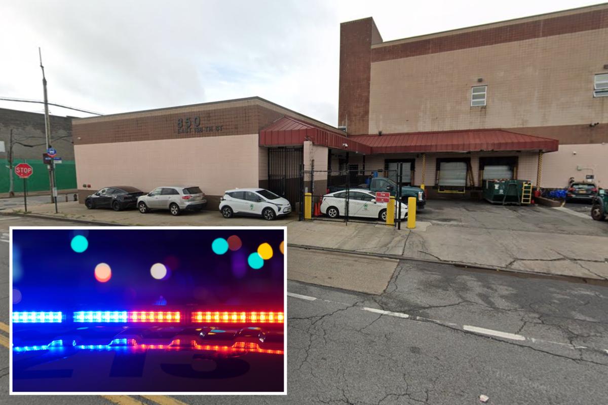 NYC Parks worker rear-ended strangers who tried to steal mirrors off car: cops