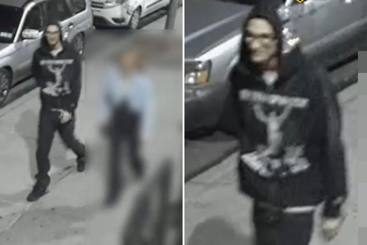 Rogue NYC driver on lam after ramming cop cars, striking officer: NYPD