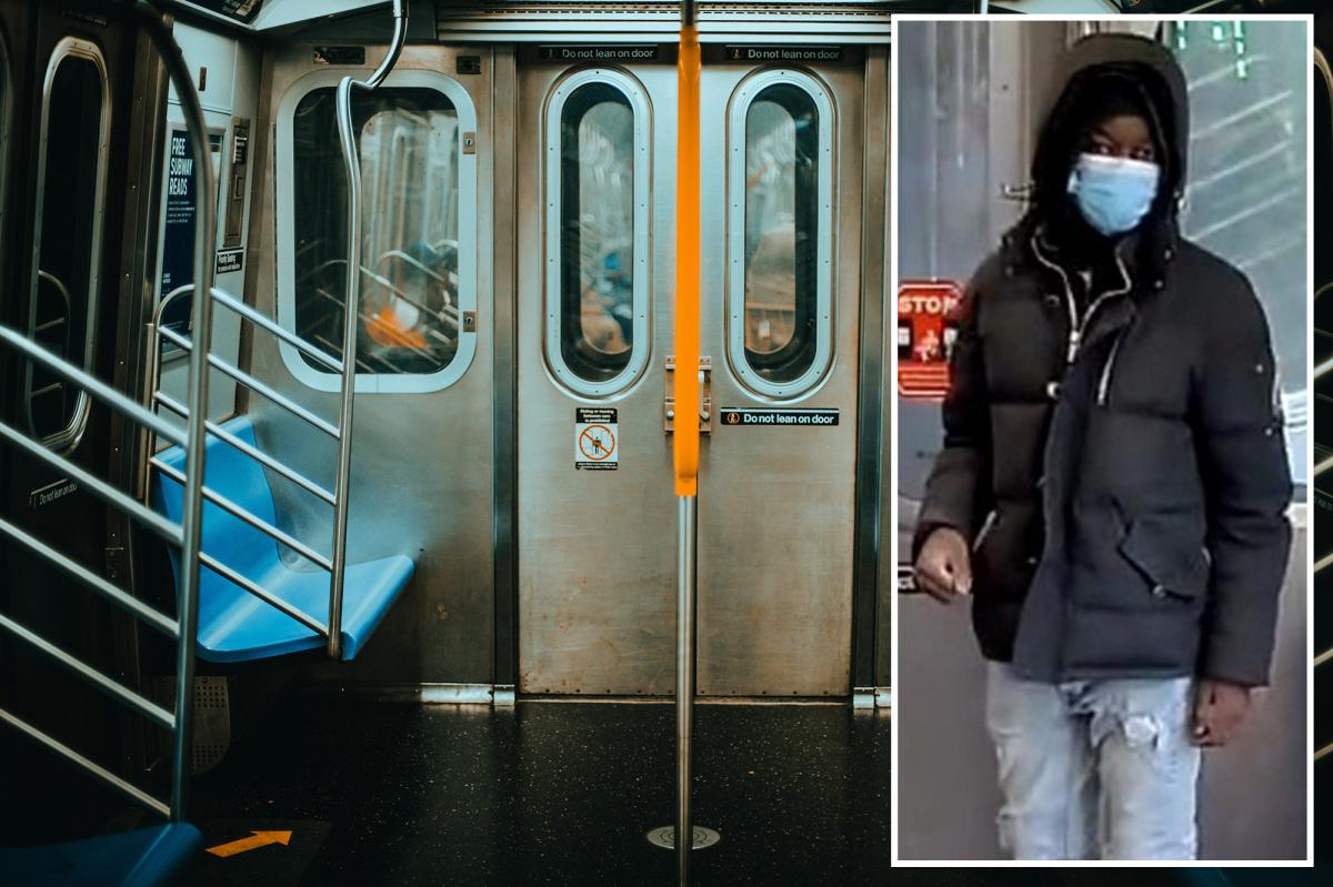 Masked stranger randomly slashes boy, 15, multiple times on NYC train: cops, sources