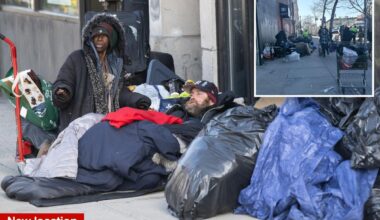 Homeless party animals booted from Queens love nest but the honeymoon is not over yet