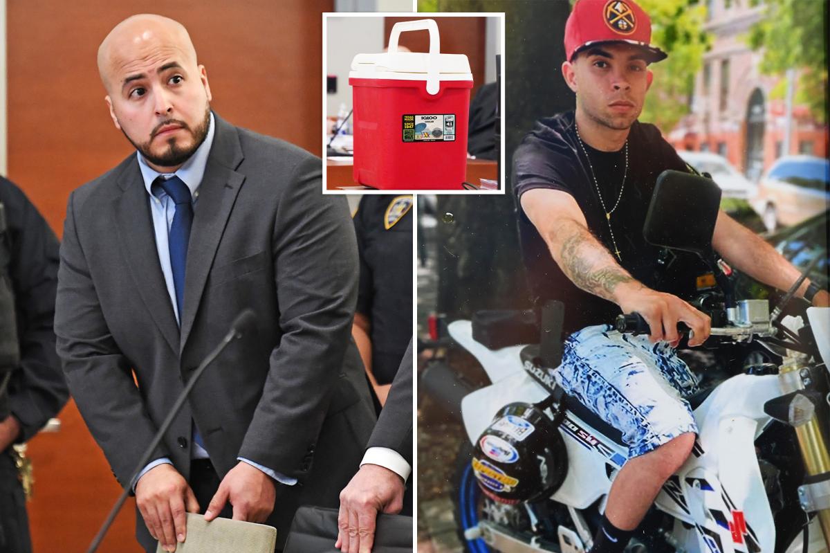 Ex-NYPD sergeant jailed for fatal cooler toss grew up in violent NYC neighborhood to become 'model' cop before downfall
