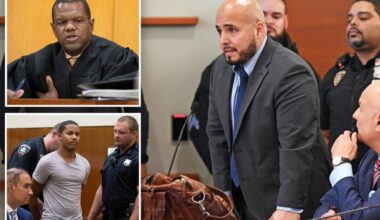 NYC judge who locked up 'cooler cop' faced anger for going easy on teen who killed homeless man
