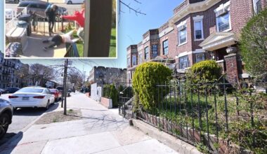NYC grandma, 75, brutally pummeled over dog poop clean-up request – until Navy vet neighbor steps in: video