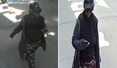 Female stranger randomly shoves 71-year-old to ground in NYC – leaving her bruised up with jaw injury: cops