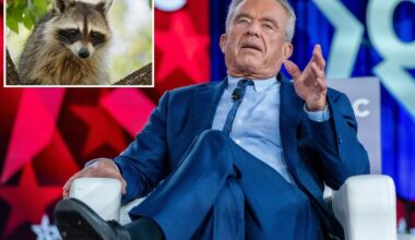 RFK Jr. once chopped off a dead racoon's penis to 'study later' while on a family road trip