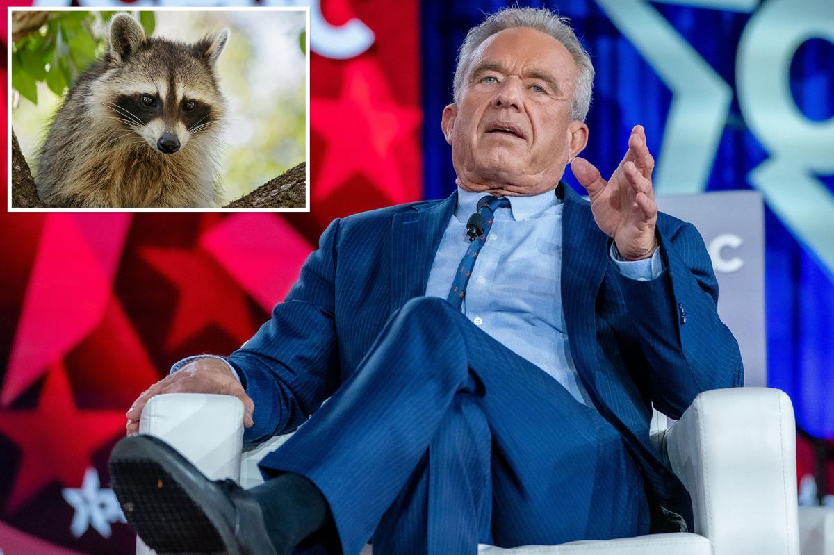 RFK Jr. once chopped off a dead racoon's penis to 'study later' while on a family road trip